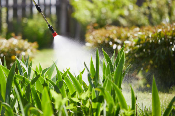 24/7 Emergency Mosquito Control experts in Claryville, KY